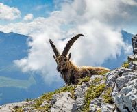 Bavarian Alps Challenge Trek Picture 3