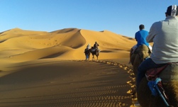 Ride The Sahara 4 Day Picture 3