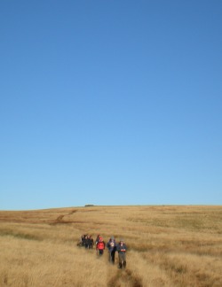 Dartmoor 10 Tors Challenge Picture 3