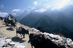 Everest Base Camp Trek Picture 2