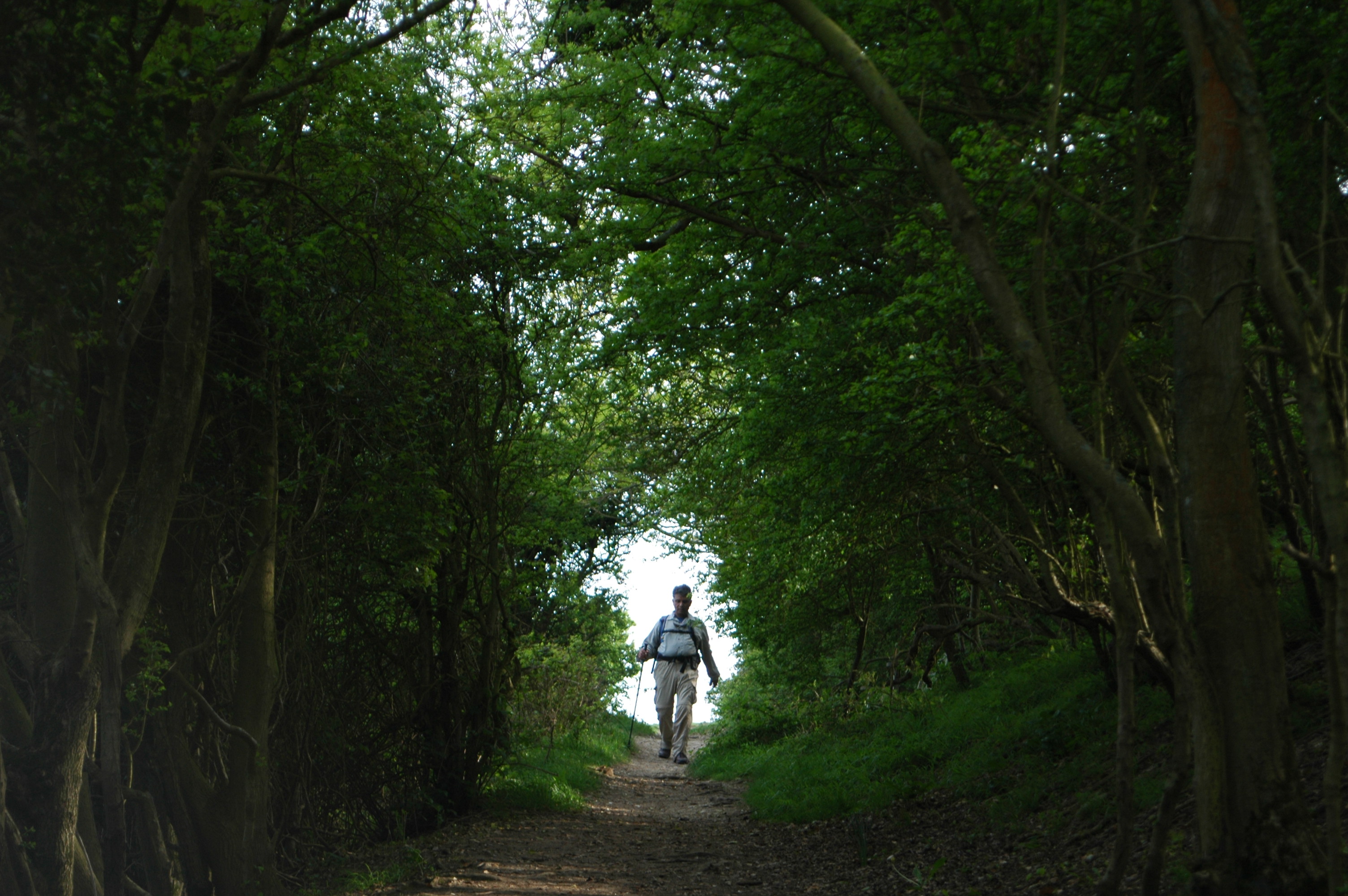 South Downs Way 5 Day Trek Picture 2