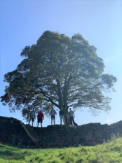 Hadrians Wall 2 Day Challenger Picture 3