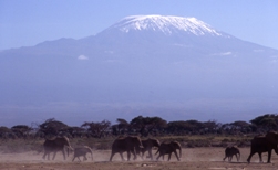 Kilimanjaro Classic Machame Trek Picture 2