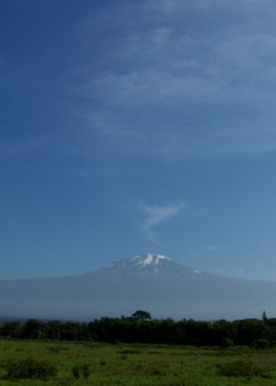Kilimanjaro Ngorongoro Safari Picture 3
