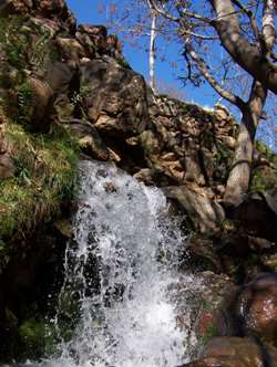 Morocco Atlas Ourika Trek Picture 3