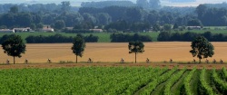 Paris Bordeaux Atlantique Bike Challenge Picture 3