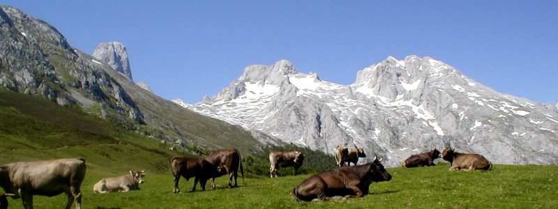 Picos Mountains Picture 1