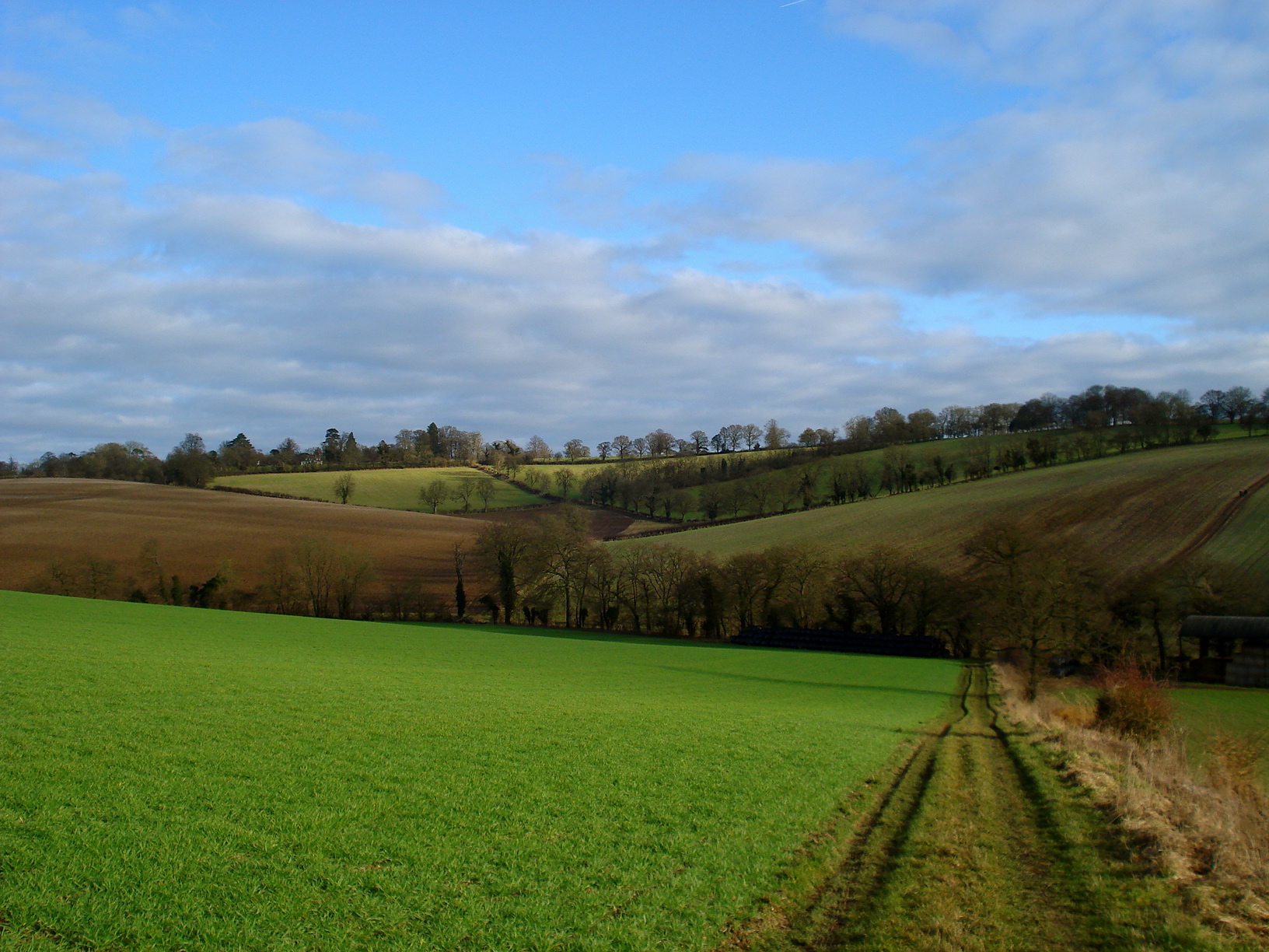 Chiltern Three Peaks  Picture 1