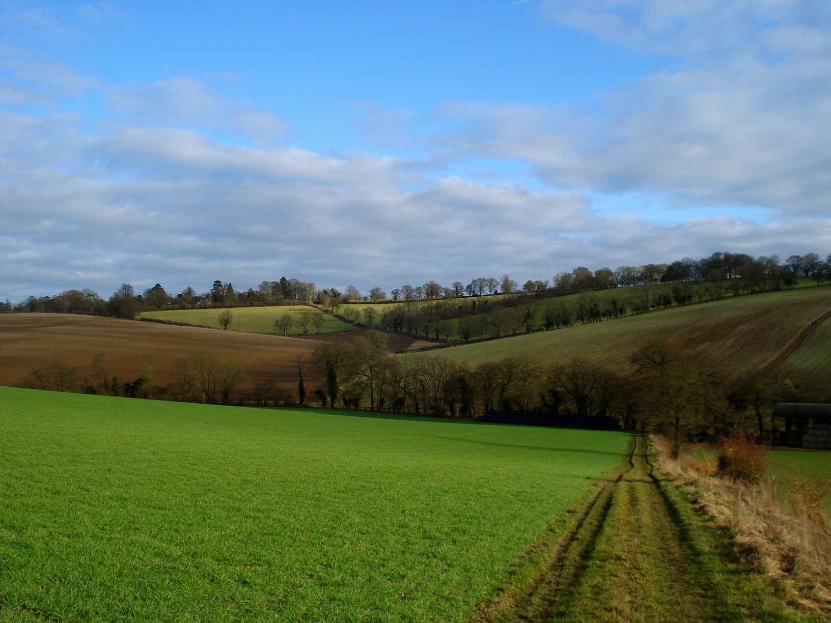 Chiltern Three Peaks  Picture 1