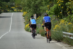 Ride the Amalfi Coast Picture 3