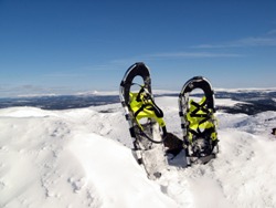 Slovenia Snowshoe Picture 2