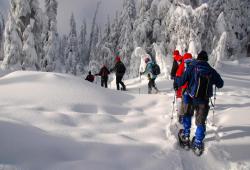 Slovenia Snowshoe Picture 3