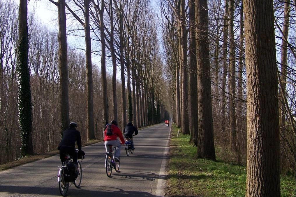 A fascinating country just a stones throw from home - with incredible medieval cities - and a deep and fascinating cycling history. Come with us to explore Bruges, Ghent, Brussels and some challenging Bergs and 'interesting' and unique cobbled roads. So easy to get to , and yet still the feeling of being well away from home.