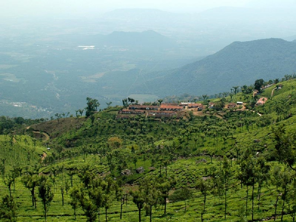 Explore this quiet mountainous area of Northern India